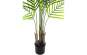 Europalms Großblatt-Areca, 125cm, Kunststoffpflanze 