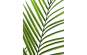 Europalms Großblatt-Areca, 165cm, Kunststoffpflanze 