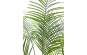 Europalms Großblatt-Areca, 185cm, Kunststoffpflanze 