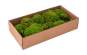Europalms Moosflecken apfelgrün präpariert 10x, Kunststoffpflanze 