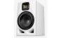 Adam Audio A7V White - Limited Edition 