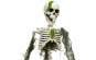 Europalms Halloween Skelett mit Moos, 40cm 