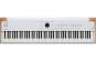 Arturia AstroLab 88 Stage Keyboard 