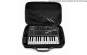 Analog Cases PULSE Case For Arturia MiniLab MicroFreak MicroBrute 