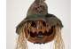 Europalms Halloween Verfluchter Kürbiskopf, 70cm 