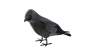 Europalms Halloween Rabe, 18cm 
