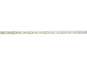 Eurolite LED IP Strip 600 5m 2835 4000K 24V 