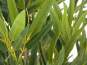 Europalms Bambus deluxe, Kunstpflanze, 180cm 