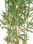 Europalms Zierbambus in Dekoschale, 150cm, Kunststoffpflanze 
