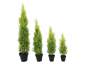 Europalms Zypresse, Leyland, 75cm, Kunststoffpflanze 