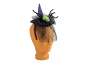 Europalms Halloween Kostüm Hexenhut mit Spinne 