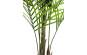 Europalms Großblatt-Areca, 165cm, Kunststoffpflanze 