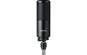 Shure SM4 Homerecording Mikrofon 