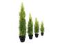 Europalms Zypresse, Leyland, 60cm, Kunststoffpflanze 