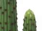 Europalms Mexikanischer Kaktus, Kunstpflanze, grün, 117cm 