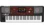 Korg Pa700 Oriental Entertainer Keyboard, 61 Tasten 