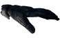 Gig Gear Onyx Gloves, Paar, schwarz, XL 