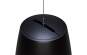 Bose Pro DesignMax LUNA DML88P schwarz, Stück 