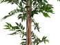 Europalms Ficus Longifolia, Kunstpflanze, 165cm 