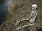 Europalms Halloween Skelett, 150 cm 