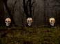 Europalms Halloween Totenköpfe mit Erdspieß, 3er-Set, 29cm 