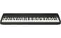Roland FP-40 BK Digital Piano 