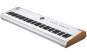 Arturia AstroLab 88 Stage Keyboard 