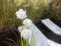 Europalms Alliumgras, Kunstpflanze, weiß, 120 cm 